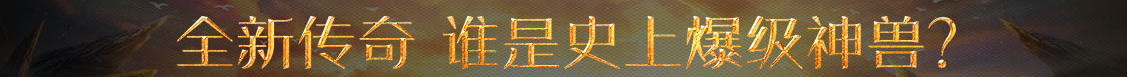 数字站基金决策